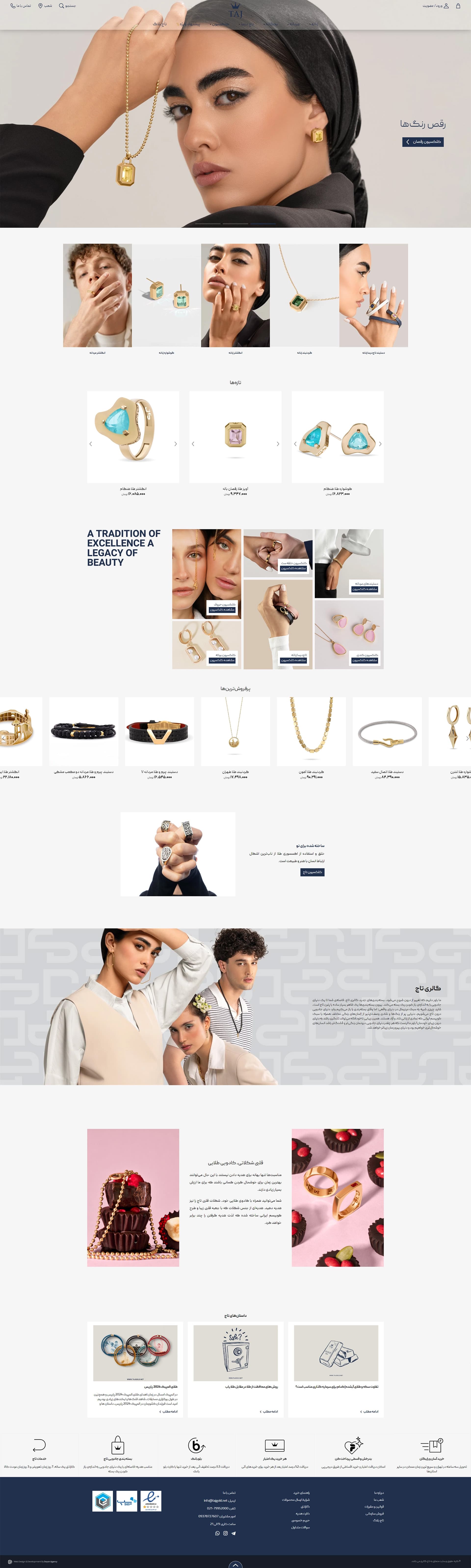 تصویر کامل و با کیفیت نمونه وبسایت دایان